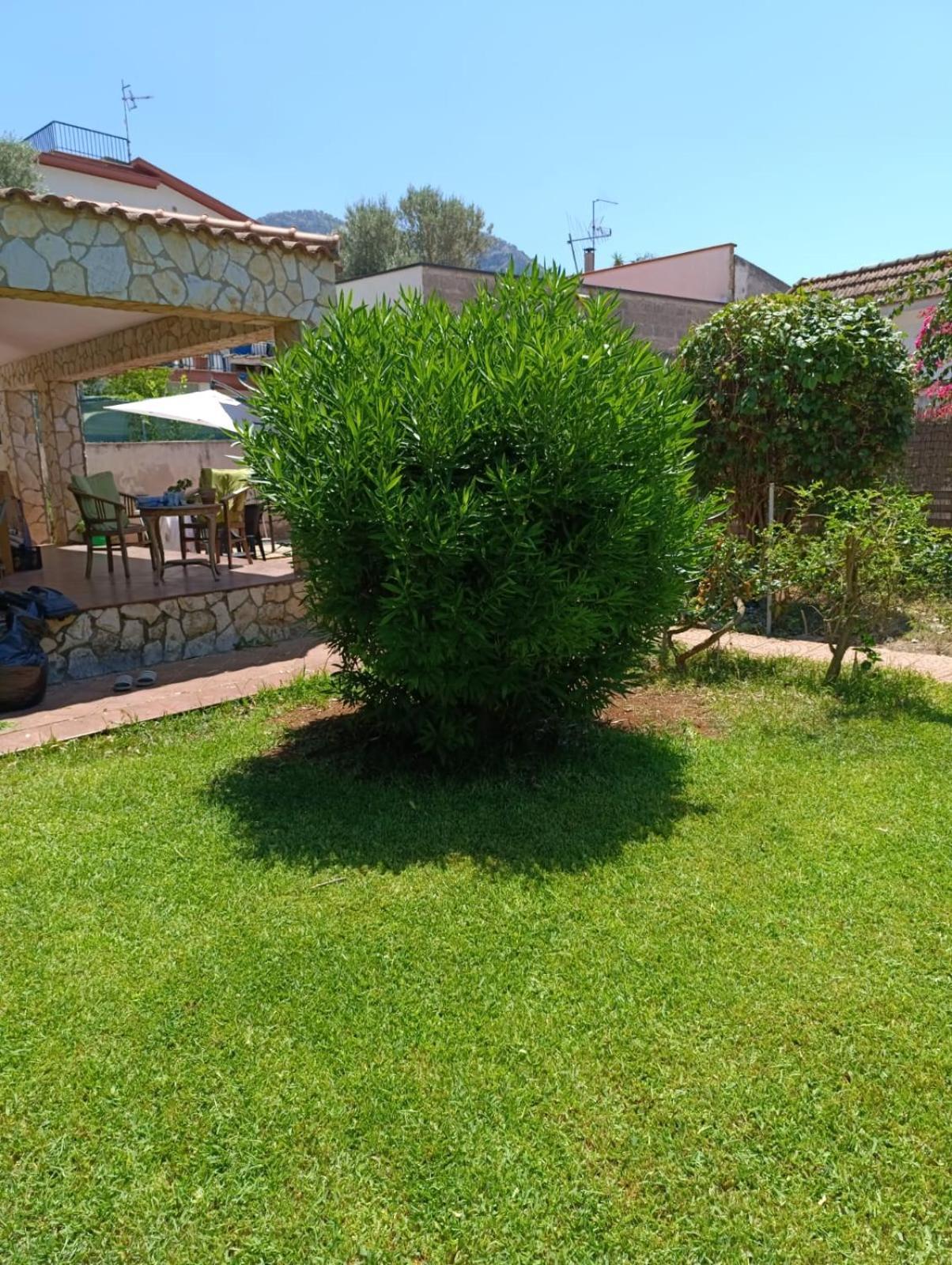 Villa Casa In Giardino A Pochi Passi Dal Mare Palermo Esterno foto